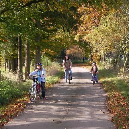 Appartement In With Forest *